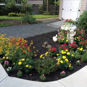 Meet your Posher, Dolly